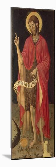 St. John the Baptist-Giovanni Antonio da Pesaro-Mounted Premium Giclee Print