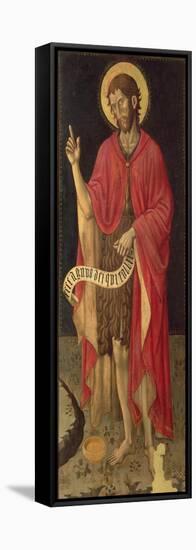 St. John the Baptist-Giovanni Antonio da Pesaro-Framed Stretched Canvas