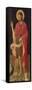 St. John the Baptist-Giovanni Antonio da Pesaro-Framed Stretched Canvas