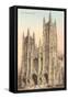 St. John the Divine Cathedral, New York City-null-Framed Stretched Canvas