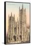 St. John the Divine Cathedral, New York City-null-Framed Stretched Canvas