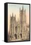 St. John the Divine Cathedral, New York City-null-Framed Stretched Canvas