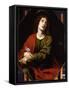 St. John the Evangelist (Oil on Canvas)-Carlo Dolci-Framed Stretched Canvas