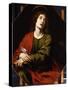 St. John the Evangelist (Oil on Canvas)-Carlo Dolci-Stretched Canvas