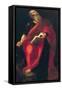 St. John the Evangelist-Francisco Ribalta-Framed Stretched Canvas