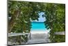 St. John, US Virgin Islands at Trunk Bay Beach Entrance.-SeanPavonePhoto-Mounted Photographic Print