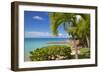 St. Johns, Antigua, Leeward Islands, West Indies, Caribbean, Central America-Frank Fell-Framed Photographic Print