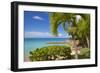 St. Johns, Antigua, Leeward Islands, West Indies, Caribbean, Central America-Frank Fell-Framed Photographic Print