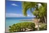 St. Johns, Antigua, Leeward Islands, West Indies, Caribbean, Central America-Frank Fell-Mounted Photographic Print