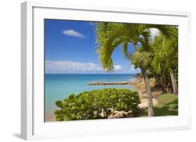 St. Johns, Antigua, Leeward Islands, West Indies, Caribbean, Central America-Frank Fell-Framed Photographic Print