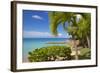 St. Johns, Antigua, Leeward Islands, West Indies, Caribbean, Central America-Frank Fell-Framed Photographic Print