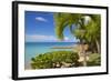 St. Johns, Antigua, Leeward Islands, West Indies, Caribbean, Central America-Frank Fell-Framed Photographic Print