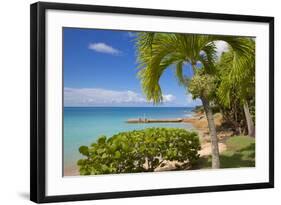 St. Johns, Antigua, Leeward Islands, West Indies, Caribbean, Central America-Frank Fell-Framed Photographic Print