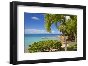 St. Johns, Antigua, Leeward Islands, West Indies, Caribbean, Central America-Frank Fell-Framed Photographic Print