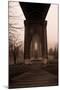 St. Johns Arches VI-Erin Berzel-Mounted Photographic Print