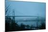 St. Johns Bridge VII-Erin Berzel-Mounted Photographic Print