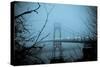 St. Johns Bridge VIII-Erin Berzel-Stretched Canvas