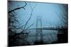 St. Johns Bridge VIII-Erin Berzel-Mounted Photographic Print