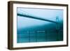 St. Johns Bridge X-Erin Berzel-Framed Photographic Print