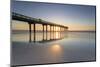 St. Johns of County Ocean Pier, Florida, St. Augustine-Marco Isler-Mounted Photographic Print