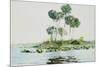 St. Johns River, Florida, 1890-Winslow Homer-Mounted Giclee Print