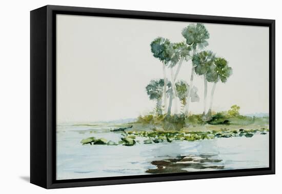 St. Johns River, Florida, 1890-Winslow Homer-Framed Stretched Canvas