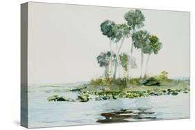 St. Johns River, Florida, 1890-Winslow Homer-Stretched Canvas