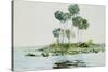 St. Johns River, Florida, 1890-Winslow Homer-Stretched Canvas