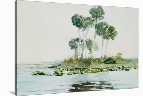 St. Johns River, Florida, 1890-Winslow Homer-Stretched Canvas