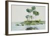 St. Johns River, Florida, 1890-Winslow Homer-Framed Giclee Print