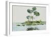 St. Johns River, Florida, 1890-Winslow Homer-Framed Giclee Print