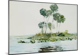 St. Johns River, Florida, 1890-Winslow Homer-Mounted Giclee Print