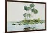 St. Johns River, Florida, 1890-Winslow Homer-Framed Giclee Print