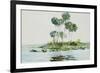 St. Johns River, Florida, 1890-Winslow Homer-Framed Premium Giclee Print