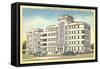 St. Joseph's Infirmary, Houston-null-Framed Stretched Canvas