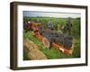 St. Joseph Vineyards, Ardeche, Rhone Alpes, France-Michael Busselle-Framed Photographic Print