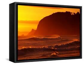 St Kilda Beach, Dunedin, New Zealand-David Wall-Framed Stretched Canvas