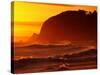 St Kilda Beach, Dunedin, New Zealand-David Wall-Stretched Canvas