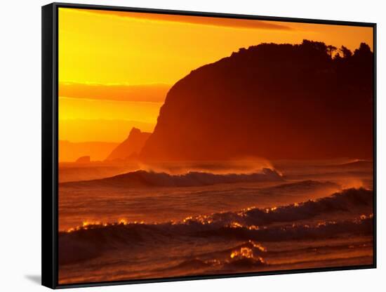 St Kilda Beach, Dunedin, New Zealand-David Wall-Framed Stretched Canvas