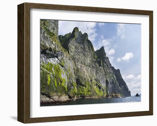 St Kilda Islands, Scotland. Boreray Island, Northern Gannet Colony-Martin Zwick-Framed Premium Photographic Print