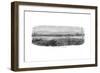 St Kilda Road, South Side of Prince's Bridge - Floods at Melbourne, Australia, 1864-null-Framed Giclee Print