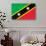 St. Kitts And Nevis Flag Design with Wood Patterning - Flags of the World Series-Philippe Hugonnard-Art Print displayed on a wall