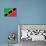 St. Kitts And Nevis Flag Design with Wood Patterning - Flags of the World Series-Philippe Hugonnard-Art Print displayed on a wall