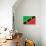 St. Kitts And Nevis Flag Design with Wood Patterning - Flags of the World Series-Philippe Hugonnard-Art Print displayed on a wall