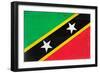 St. Kitts And Nevis Flag Design with Wood Patterning - Flags of the World Series-Philippe Hugonnard-Framed Art Print