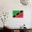 St. Kitts And Nevis Flag Design with Wood Patterning - Flags of the World Series-Philippe Hugonnard-Art Print displayed on a wall