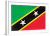 St. Kitts And Nevis Flag Design with Wood Patterning - Flags of the World Series-Philippe Hugonnard-Framed Art Print