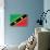 St. Kitts And Nevis Flag Design with Wood Patterning - Flags of the World Series-Philippe Hugonnard-Stretched Canvas displayed on a wall