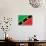 St. Kitts And Nevis Flag Design with Wood Patterning - Flags of the World Series-Philippe Hugonnard-Stretched Canvas displayed on a wall