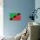 St. Kitts And Nevis Flag Design with Wood Patterning - Flags of the World Series-Philippe Hugonnard-Stretched Canvas displayed on a wall